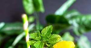 Pineapple Mojito