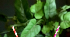 Cool-Down Grapefruit Smoothie