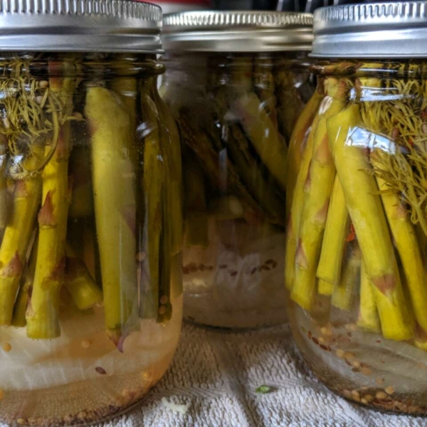 Pickled Asparagus