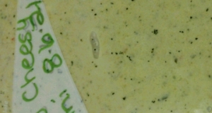 Creamy, Cheesy Zucchini Soup