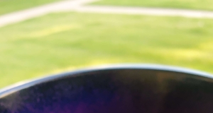 Creamy Miso-Mushroom Stew