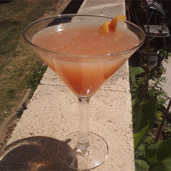 Greyhound Cocktail