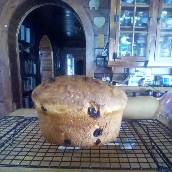 Panettone I
