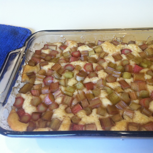 Rhubarb Pudding