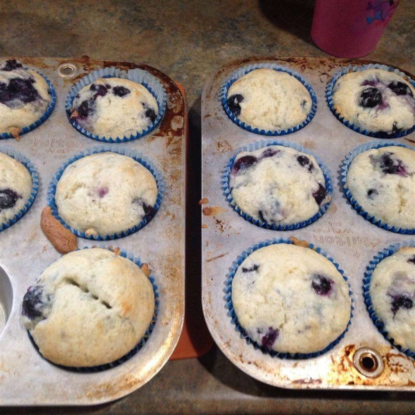Low-Cholesterol Blueberry Muffins