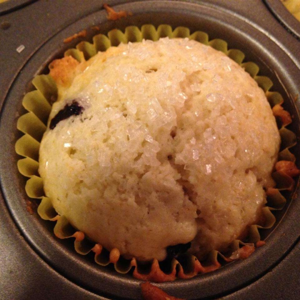 Low-Cholesterol Blueberry Muffins