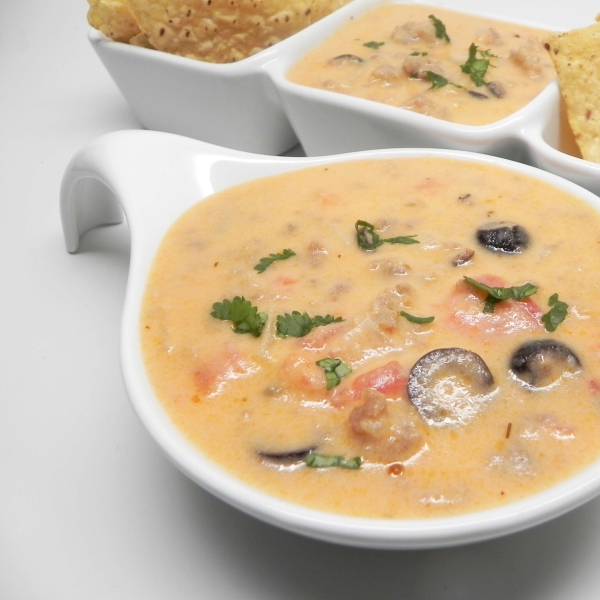 Instant Pot Italian-Style Sausage-Queso Dip