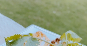 Air Fryer Cauliflower with Taco Seasoning