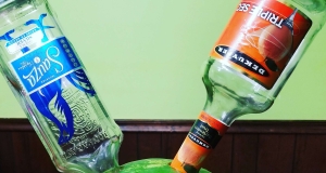 Watermelon Margarita Slices