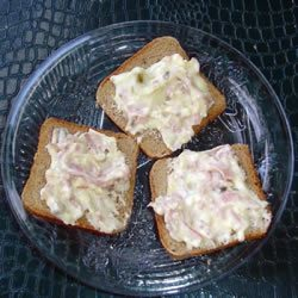 Anne's Hot Ham and Swiss Dip