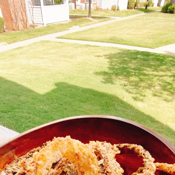 Air Fryer BBQ Onion Rings
