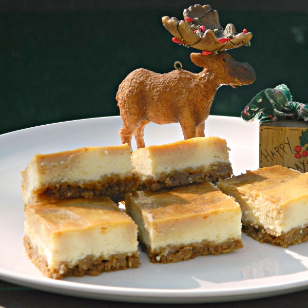 Sea Salt Caramel Swirl Cheesecake Bars