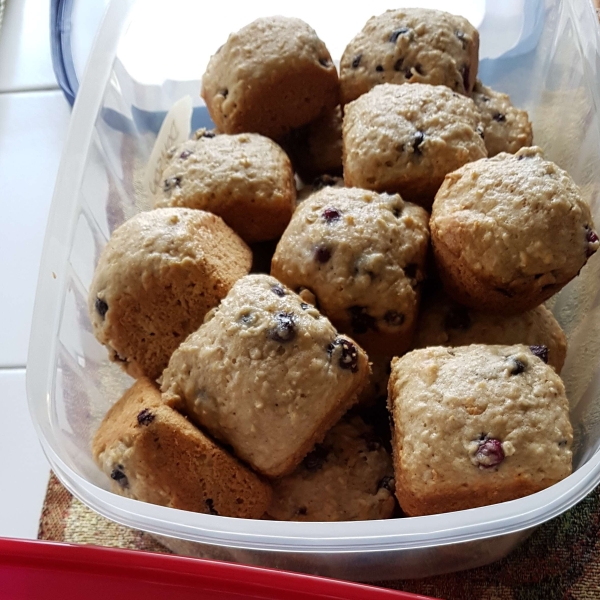 Saskatoon Berry Oat Muffins