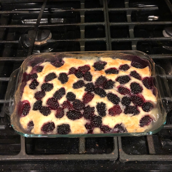 Best in Show Blackberry Cobbler
