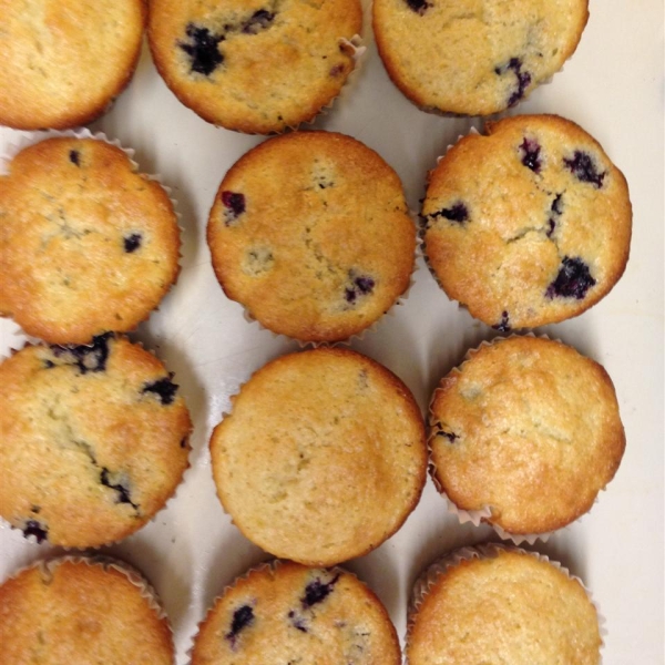 Alienated Blueberry Muffins