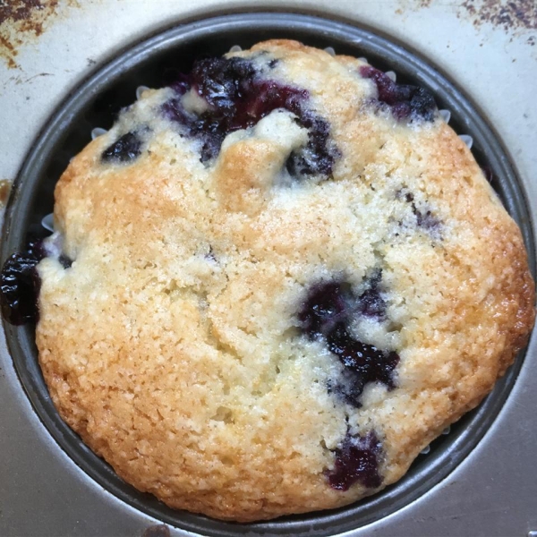 Alienated Blueberry Muffins