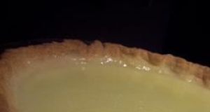 Vinegar Pie VII