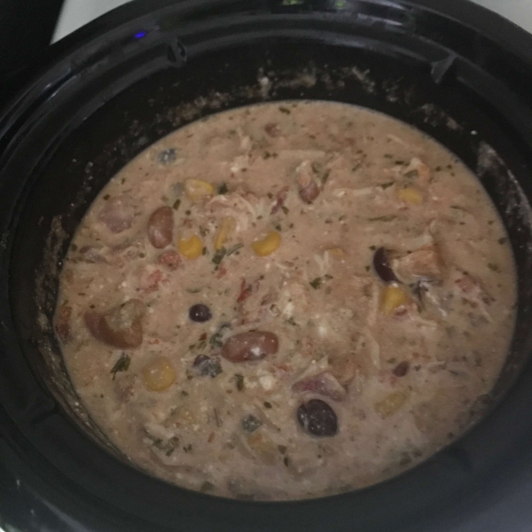 Latin-Inspired Spicy Cream Chicken Stew