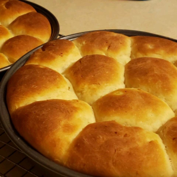 Potato Rolls