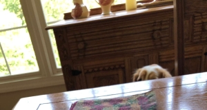 Italian-Style Bruschetta