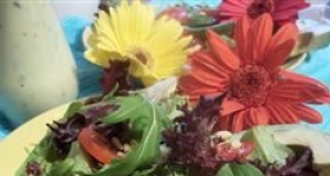 Fresh as a Daisy Spring Salad