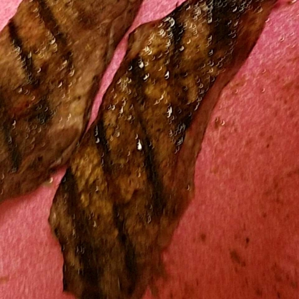Jamaican Jerk Dry Rub