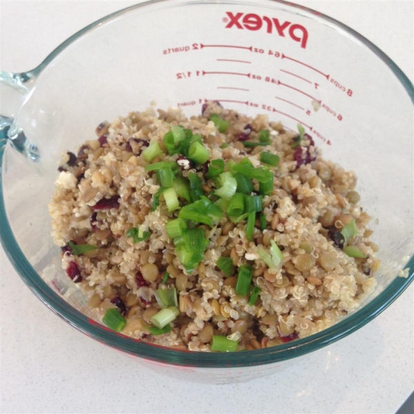 Cranberry Lentil and Quinoa Salad