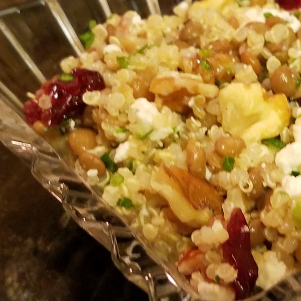 Cranberry Lentil and Quinoa Salad