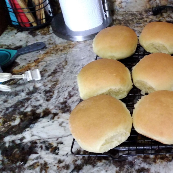 Burger or Hot Dog Buns