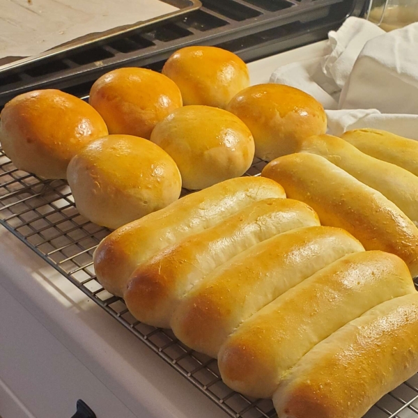 Burger or Hot Dog Buns