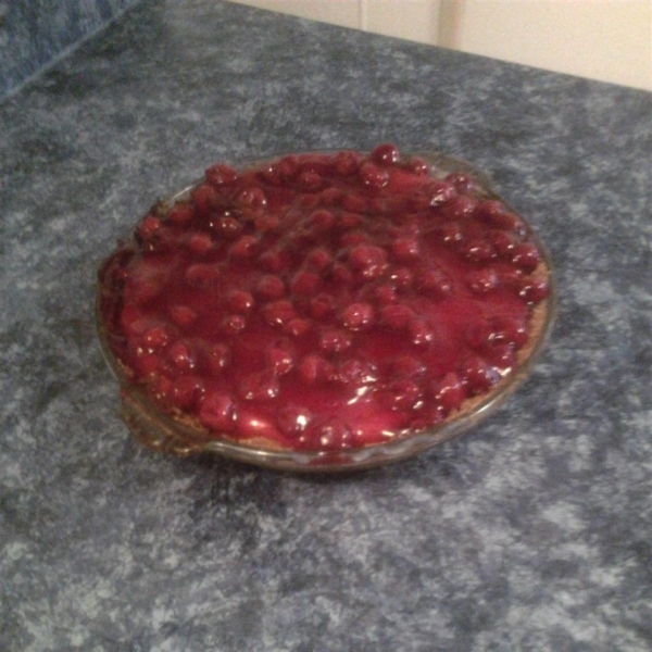 Sour Cream Fruit Pie