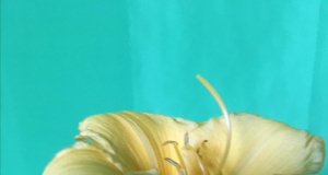 Vegan Mango-Pineapple Smoothie