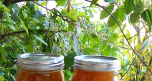 Roasted Chicken Broth