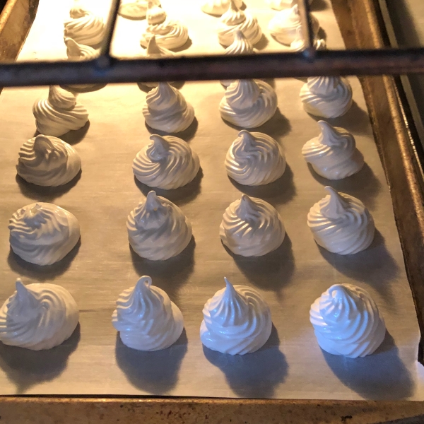 Portuguese Snow Drops