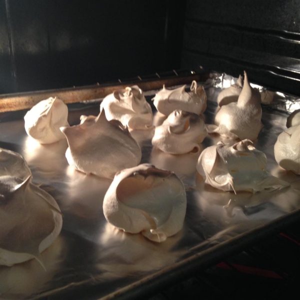 Portuguese Snow Drops