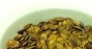 The Best Pumpkin Seeds