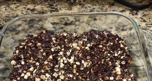 Cocoa-Coconut Granola Bars