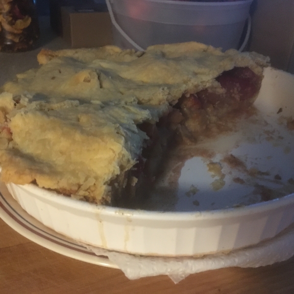 Apple and Nectarine Pie