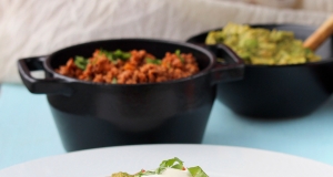 Cameron's Ground Turkey Salsa Ranchera for Tacos and Burritos