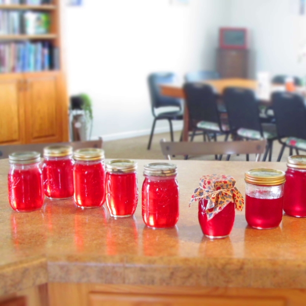Mary Wynne's Crab Apple Jelly