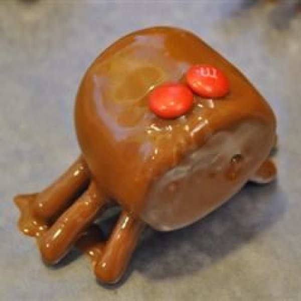 Edible Spiders