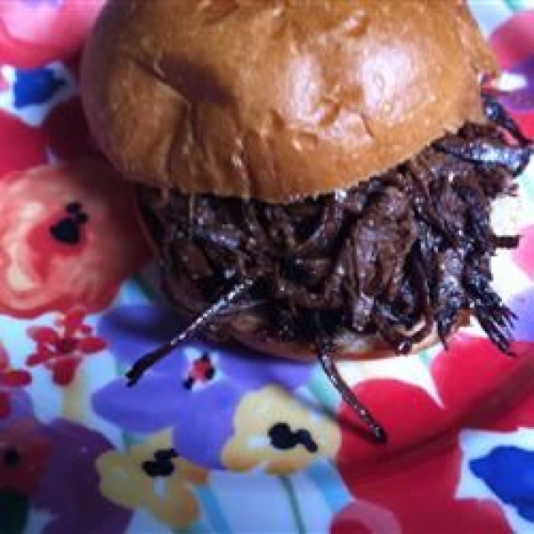 Slow Cooked Barbecue Beer Beef