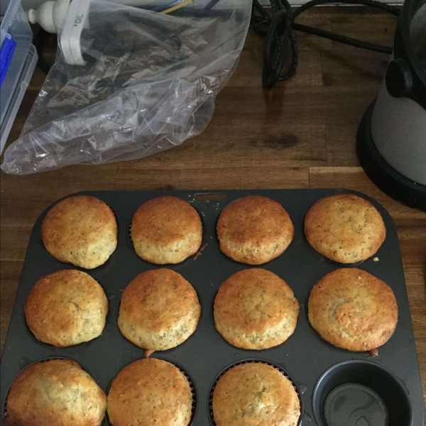 Lemon Poppy Seed Muffins I