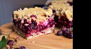 Saskatoon Berry Cream Cheese Crumb Cake