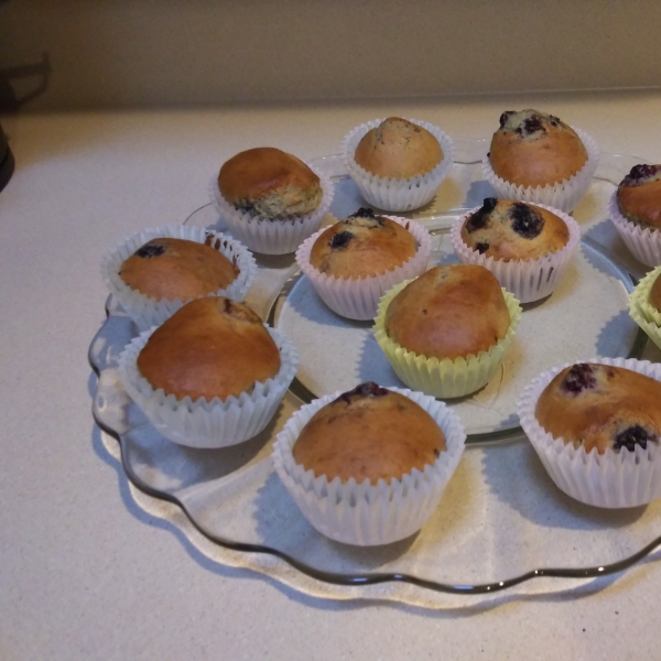 Mulberry Muffins