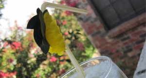 Hawaiian Punch Slush for Adults