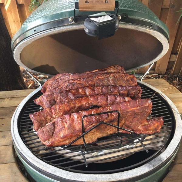 CCRyder's Smoker Rib Rub