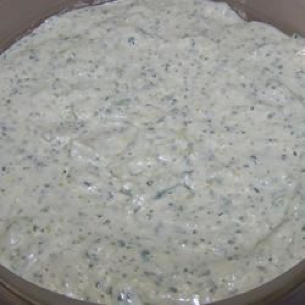 Green Onion Dip I