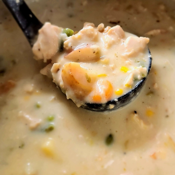 Instant Pot® Creamy Chicken Stew