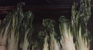 Grilled Bok Choy